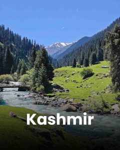 Kashmir