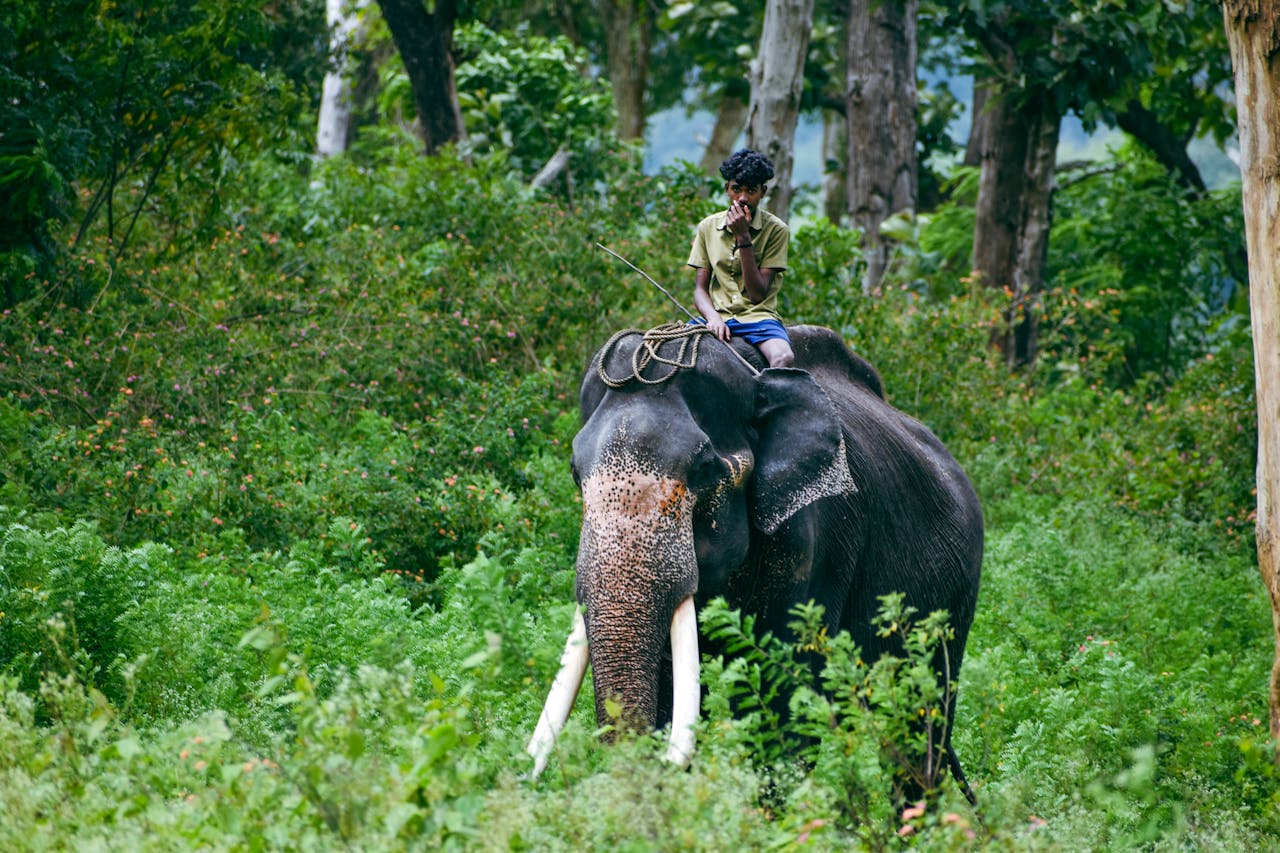 Kerala