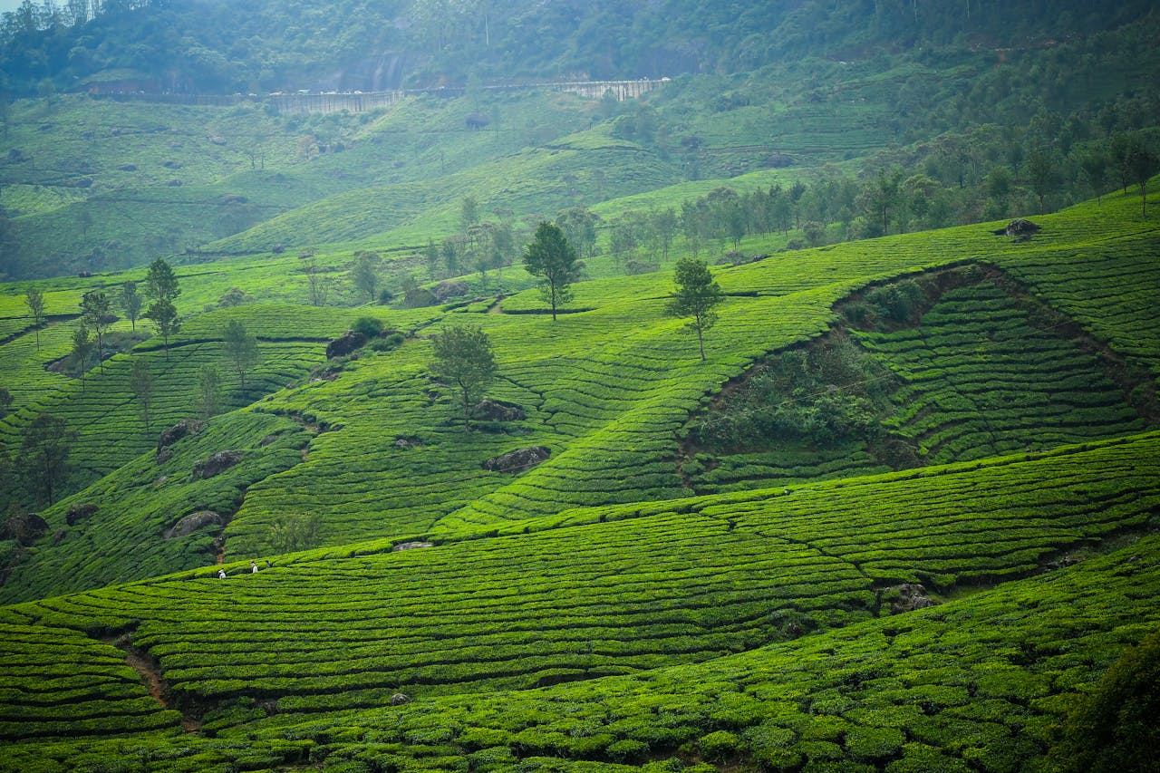 Kerala