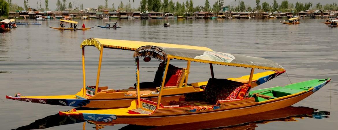 Delhi and Kashmir tour
