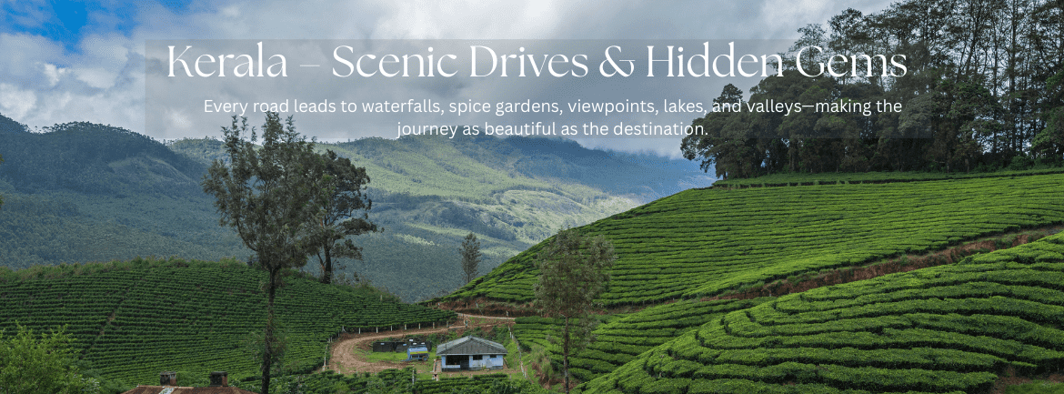 Kerala – Scenic Drives & Hidden Gems