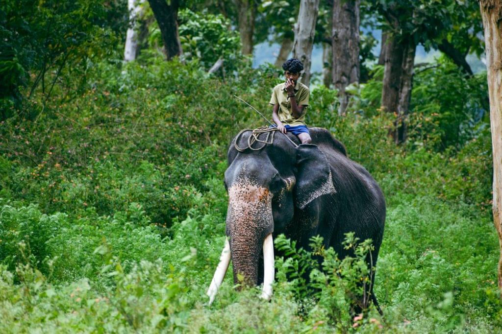 Kerala