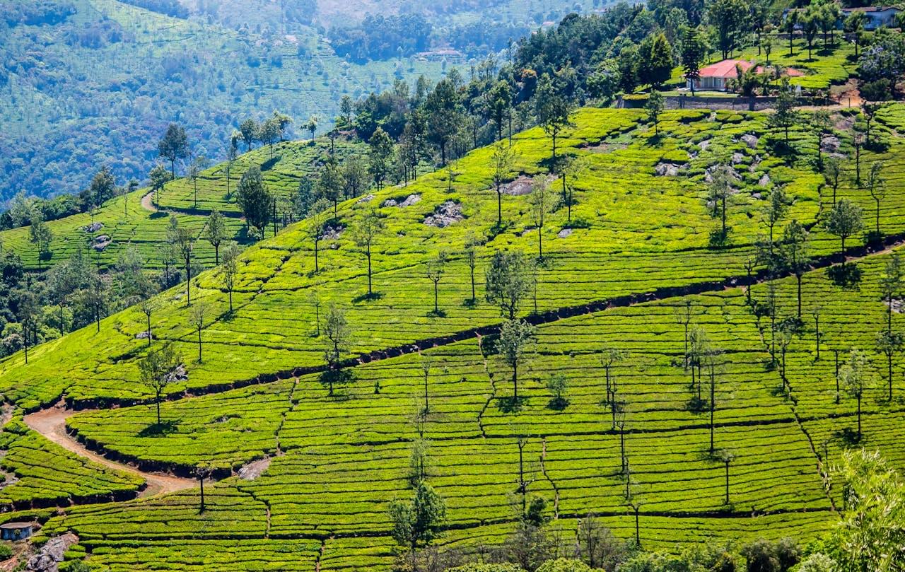 Kerala